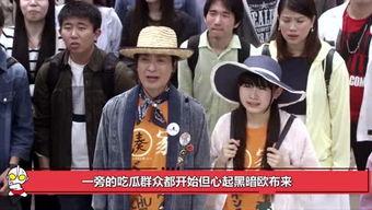吃瓜系统娱乐圈盖庙的,吃瓜系统助力盖庙,揭秘明星跨界公益背后的故事