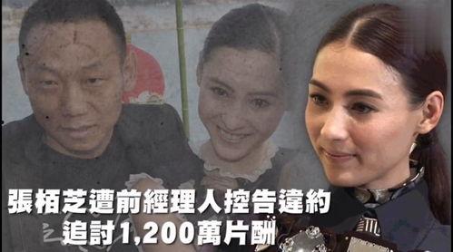 娱乐吃瓜在线观看,跟随“娱乐吃瓜”在线观看,畅享明星幕后故事